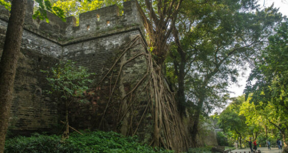 Photo: Old Guangzhou City Wall, by Wayne Hsieh