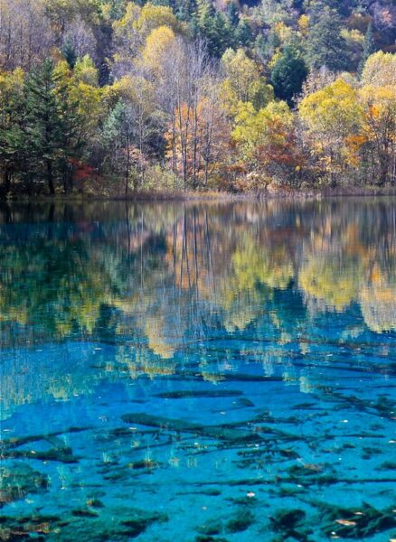 Trees in a variety of autumn hues—deep green, pale green, yellow, orange, and a hint of red—are perfectly reflected in the calm surface of a clear blue lake.