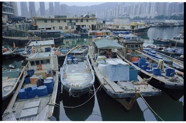 Dozens of well-worn narrow fishing boats are moored at a small dock. Behind them is a dense urban forest of skyscrapers and multi-story buildings.