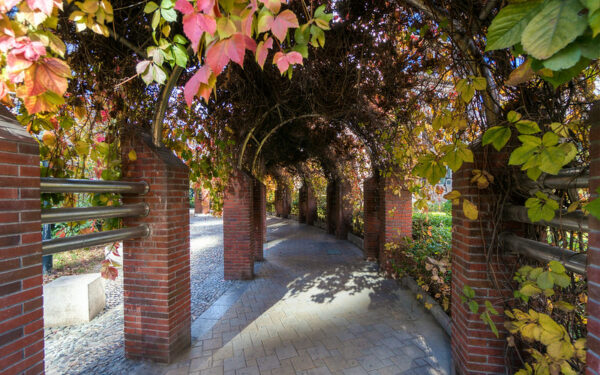 Tangled vines and multicolored autumnal leaves shade a long, curving cobblestone walkway lined with red brick pillars and stainless steel guardrails.
