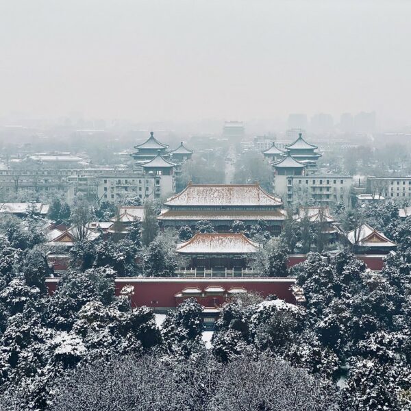 An aerial winter view of the snow-frosted trees and snow-topped vermilion walls and yellow tile rooftops of Beijing’s Forbidden City.