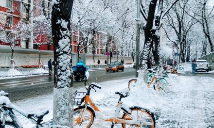 Photo: Nieve y bicis, by Dithedy
