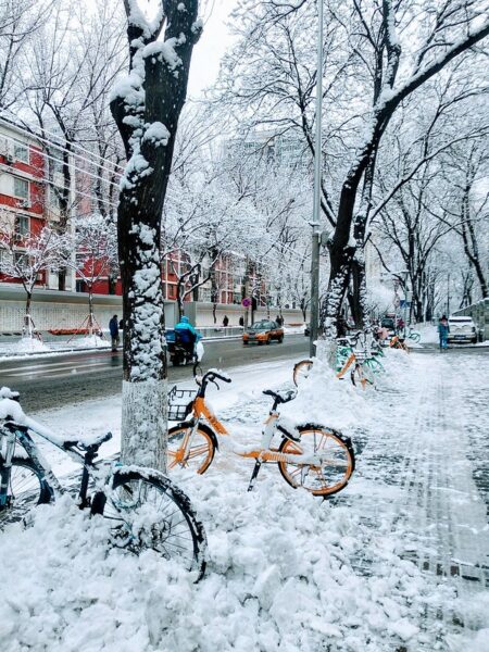 Along a residential street in Beijing, the trees, sidewalks, and numerous bicycles are covered in a heavy layer of snow.