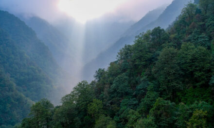 Photo: Guizhou mountains, by Francisco Anzola