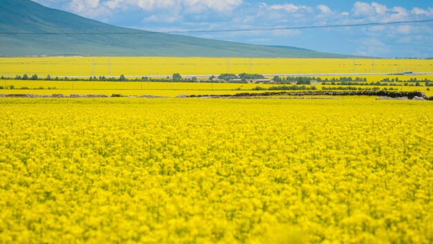 Photo: Untitled (Qinghai), by kc915@@@