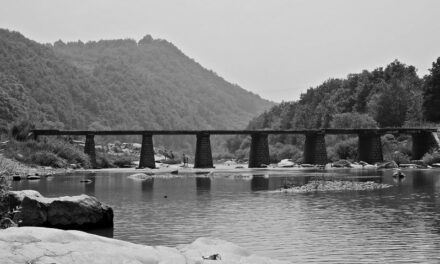 Photo: Old bridge, by sung ming whang