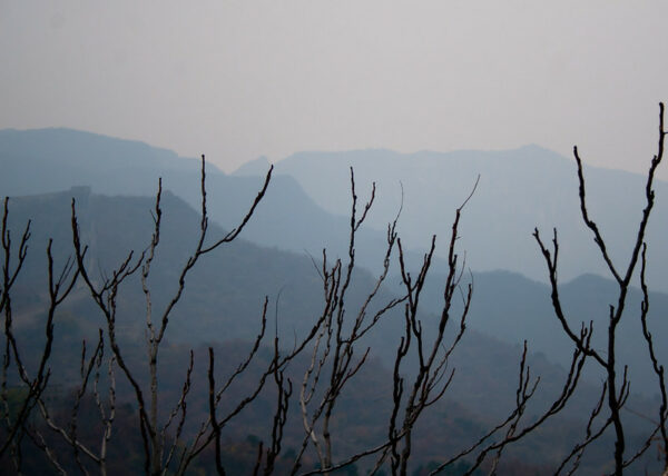 In the foreground, bare branches of trees stand out starkly against a graduated series of misty blue hills that appear to grow fainter as they fade into the distance.