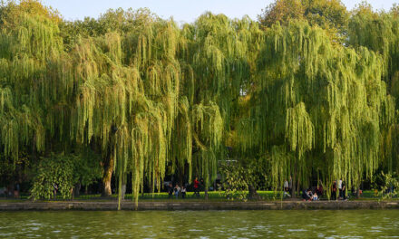 Photo: King Qian’s Memorial, by Xiquinho Silva