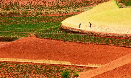 Photo: The Red Land 紅土地之行, by JiKang Lee