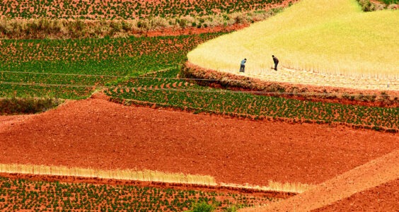 Photo: The Red Land 紅土地之行, by JiKang Lee