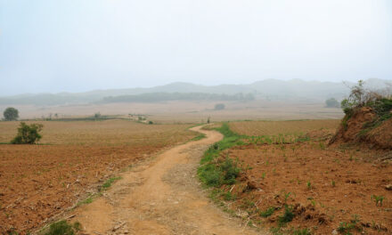 Photo: It was a reservoir, by faungg’s photos