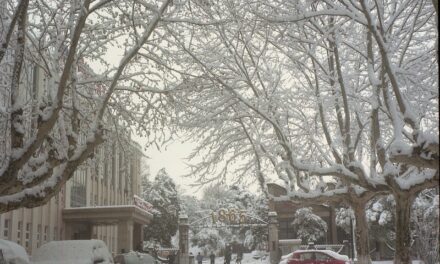 Photo: Nanjing under a snow blanket, by Edwin Wisse