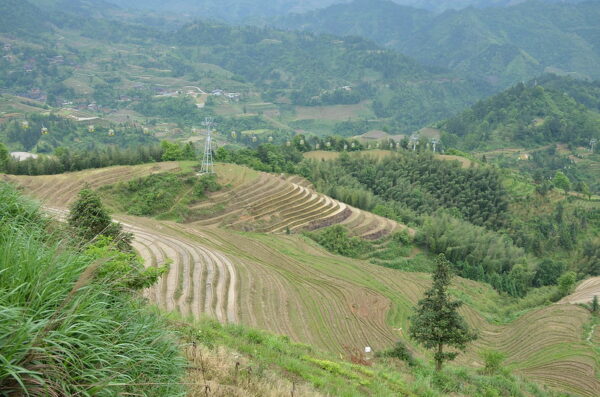 Photo: You can see the cable car line in the far distance, by shankar s.