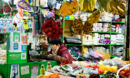 Photo: Fruits Shop, by mrhayata