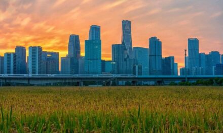 Photo: 中国浙江省杭州市钱江世纪城麦田, by 荧_Lumine