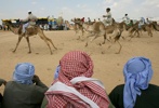  Photos Uncategorized Mideast Egypt Camel Race1